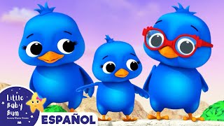 Familia de Pajaritos  Canciones Infantiles | Dibujos Animados | Little Baby Bum en Español