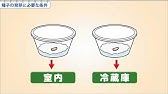 小学５年 理科 発芽の条件 Conditions Of Germination Youtube