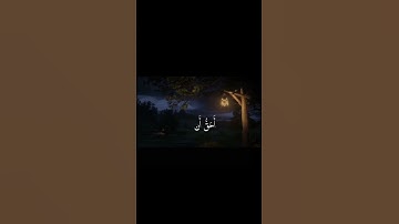 🎀#القران الكريم #قران #quran #القرآن_الكريم #اكسبلور