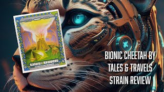 Bionic Cheetah by Tales & Travels Review | Midwest Dazed