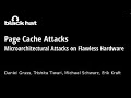 Page Cache Attacks: Microarchitectural Attacks on Flawless Hardware