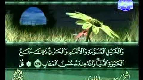 المصحف المرتل سورة ال عمران بصوت سعد الغامدي الجزء 1