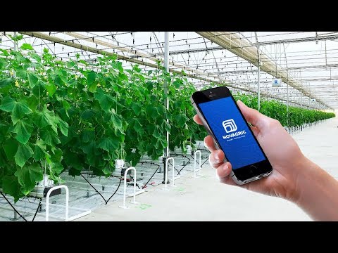 Video: ¿Qué son los cultivos inteligentes?