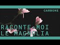 Carbone Le Magnolia Annonciateur Du Printemps mp3