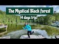 The Mystical Black Forest (Schwarzwald) | Germany's Most Famous Forest