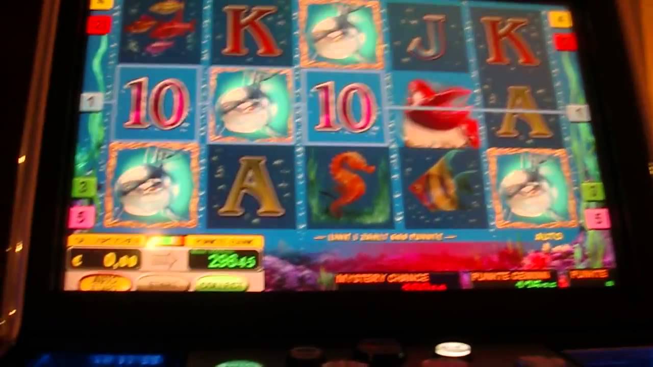 Видео большого выигрыша в игровом автомате Dolphins Pearl deluxe