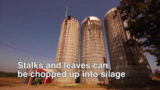 Download lagu Feed Barn Feed Barn