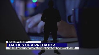 Tactics of a predator