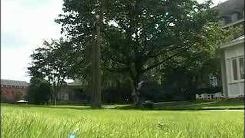 Het kloosterleven van Musica Sacra