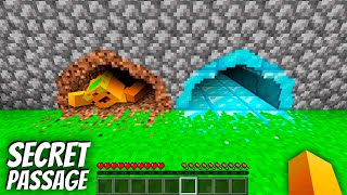 Where do lead NEW SECRET PASSAGE DIAMOND vs DIRT in Minecraft ? SECRET DIAMOND TUNNEL