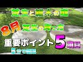 【芝生と雑木の庭】８月のお手入れで超重要な5つのこと！