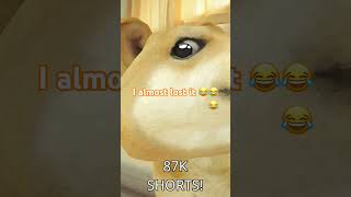 Almost lost it #funny #memes Almost lost it #funny #memes