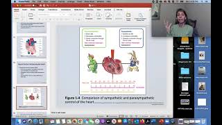 680 1 Heart Function Structure