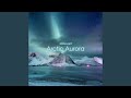 Arctic aurora