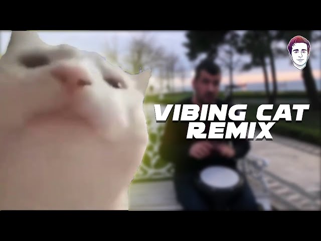 Vibing Cat Meme Remix | Levan Polkka | JLucher class=