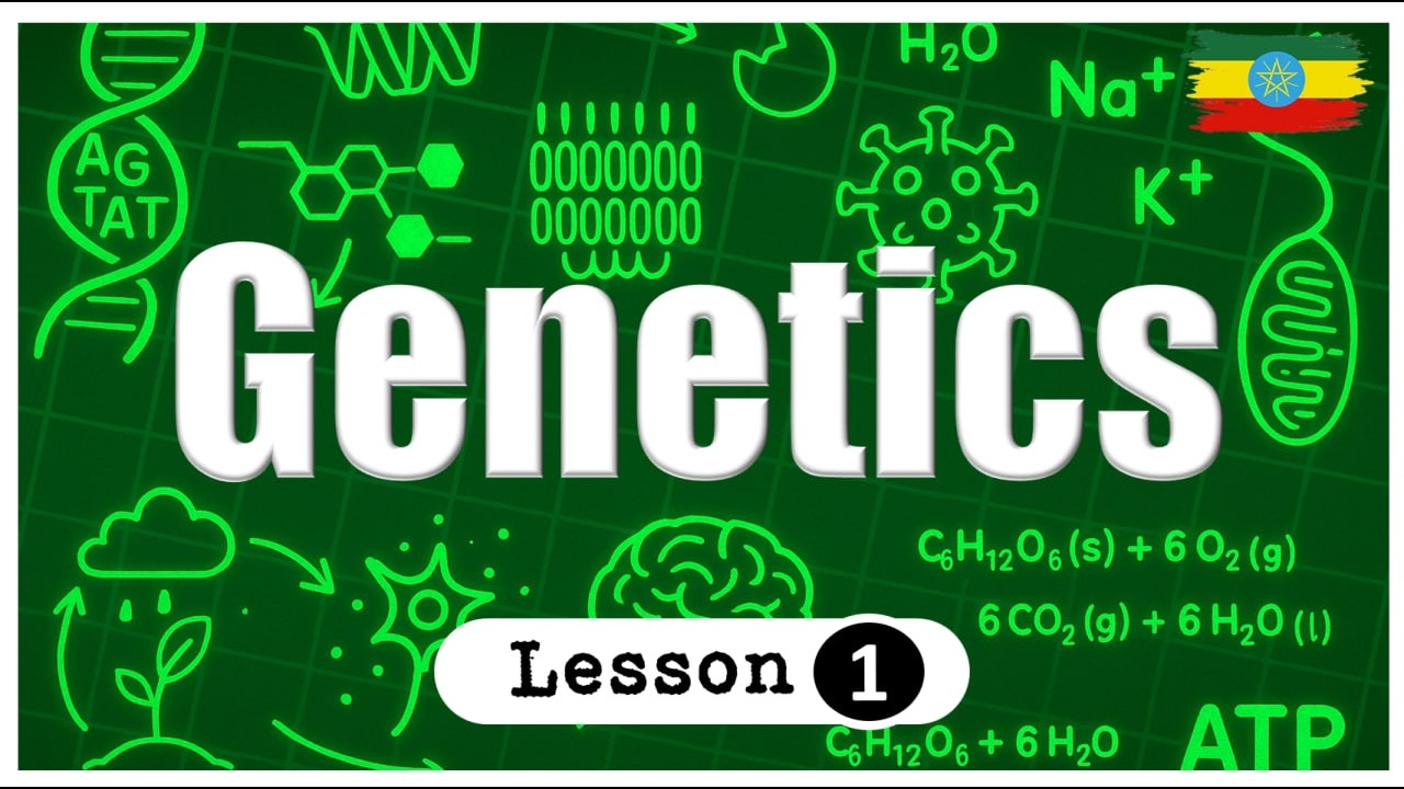 Grade 11 | Biology | Unit 4 Genetics | Lesson 1 | Structure of DNA
