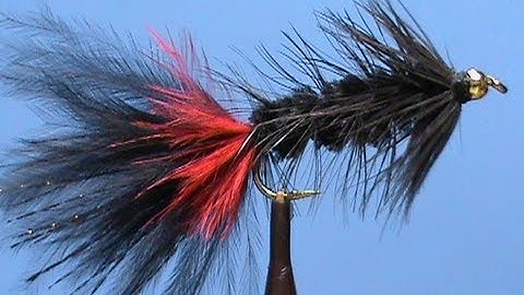 Fly Tying a Red Ass Beadhead Woollybugger with Jim Misiura