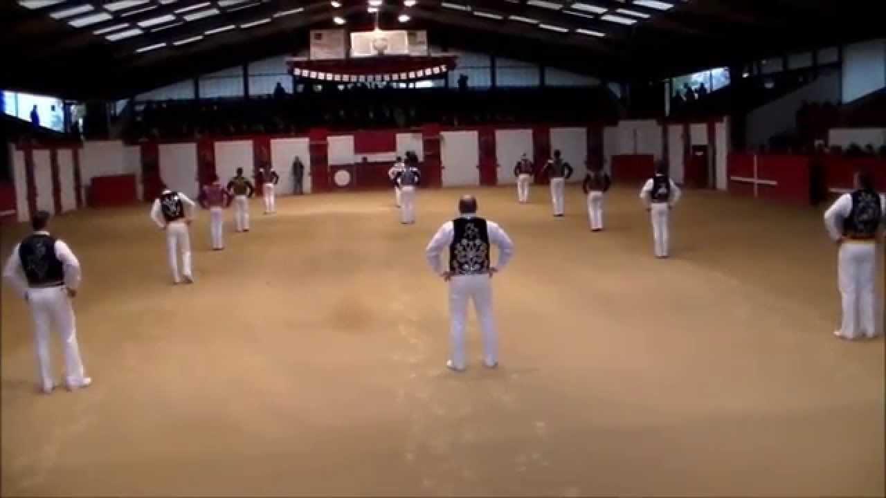 Saint-Loubouer 16/11/14 Présentation Dal 2015 (1° partie)