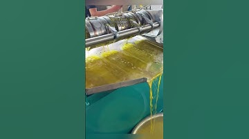 Thumbnail of Soybean oil press, specializing in the production of various oil crop press machines