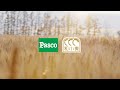 企業CM「Pascoの和小麦」篇