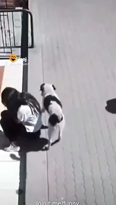 #DAWAI subscribe short video