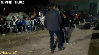 Dişisini etkilemeye çalışan arizona kertenkelesi (duran OK)