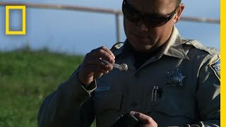 Valentine's Day Meth | Wild Justice