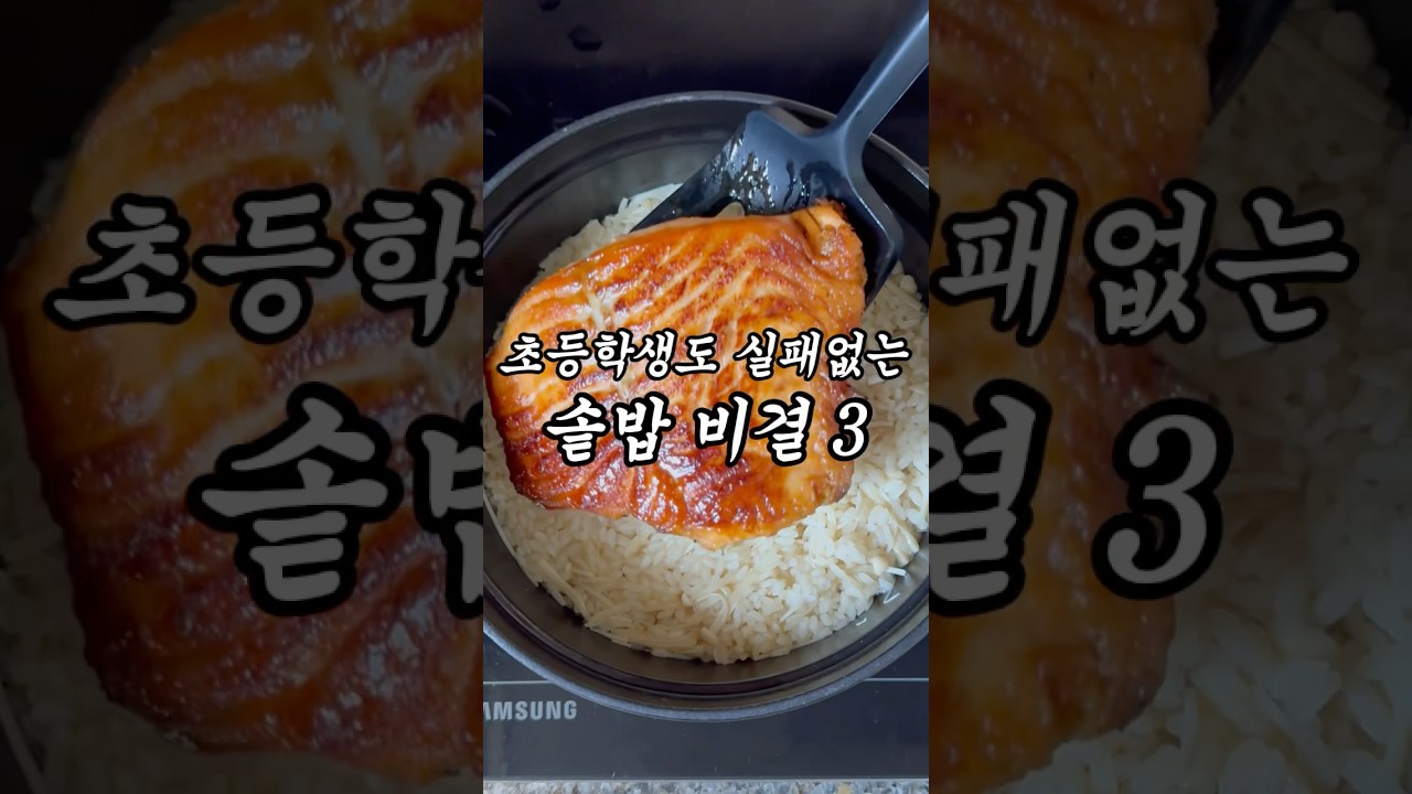 연어 솥밥