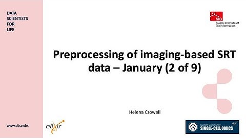 Preprocessing of imaging-based SRT data - January 2025 (2 of 9)