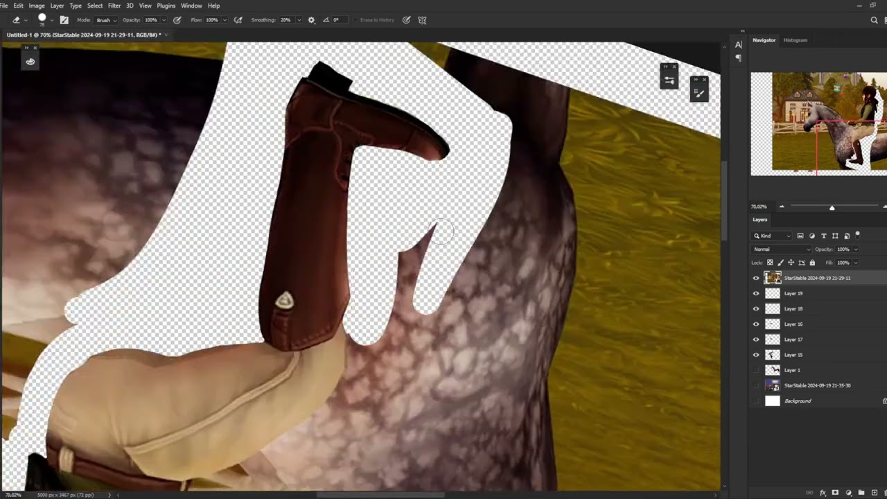 Speedpaint star stable 