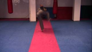 20110228-GM Massan Ghorbani 10th Dan-Advanced Kicks-1 to 18.mp4