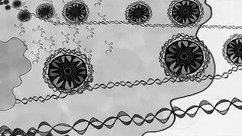 RNA Networks with RISC and RIAC