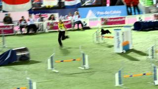 Both Eszter & Rokka  team jumping FCI WC 2011 Liévin, France