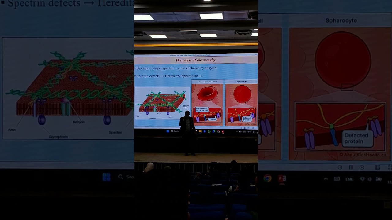 unit 4 physiology hematology w10