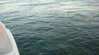 DSCN3295