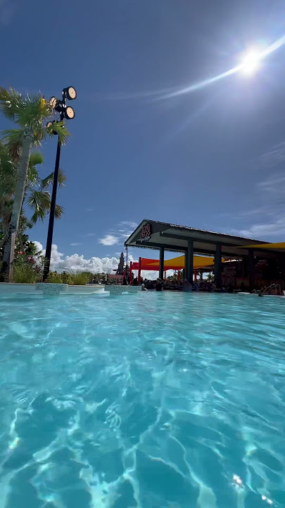 Celebration Key, Bahamas #shorts #shortsvideo #viral #travel #like #share #subscribe #love #fun