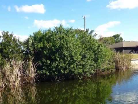 157 SE 1st Pl, Cape Coral, FL home video tour