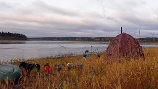 Сплав по реке Печора ч5 Деревня Усть-Соплеск. Кладбище в глухой тайге. Усть-Воя. Рыбалка на спиннинг