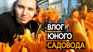 мой обычный день *vlog*