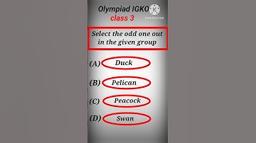 Olympiad IGKO class 3/#shorts /#shortvideo /#olympaid /#olympiadquestions