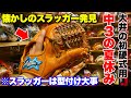 大井が中3の夏休みに初めて買った硬式用久保田スラッガー発見...やはり型付けが大事。