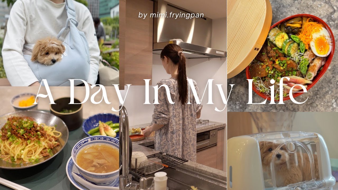 [День из жизни и жизнь щенка]