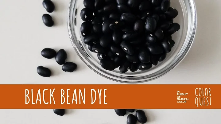 HOW TO MAKE NATURAL DYE WITH BLACK BEANS | ORGANIC COLOR | BLUE