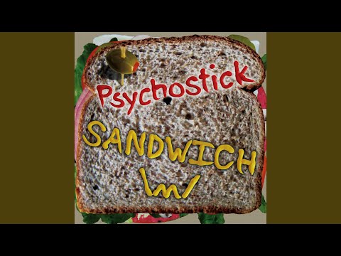 We Ran out of CD Space - Psychostick