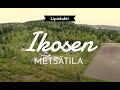 Ikosen metsätila, Nurmes