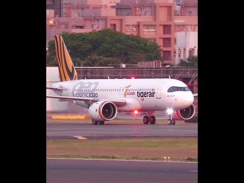 虎航首架A320neo特別塗裝機在美麗夕陽🌇黃金光中落地 Plane Spotting In Golden Light