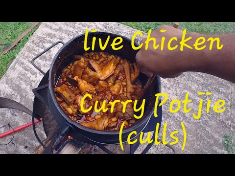 Live Chicken Curry Potjie  (culls)