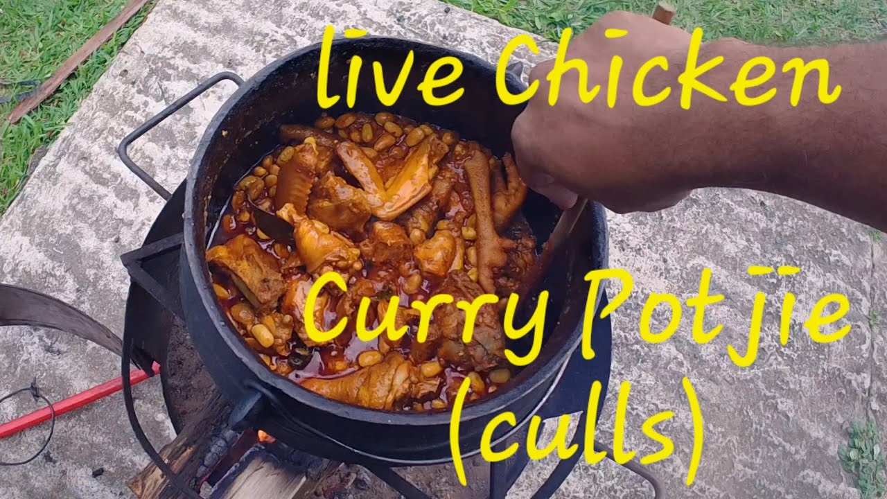 Живая курица Карри Потджи (отбраковка)