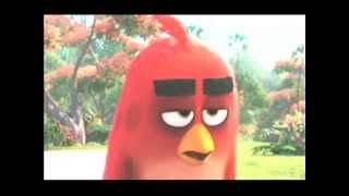 Video Lucu Angry Birds