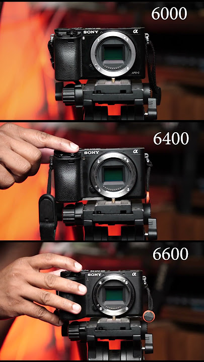 Sony Most Popular Apsc camera shutter sounds Sony 6600 sony 6400 #photography